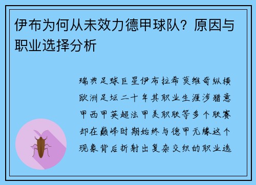 伊布为何从未效力德甲球队？原因与职业选择分析